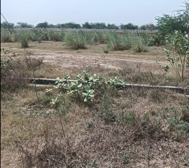 Inland India